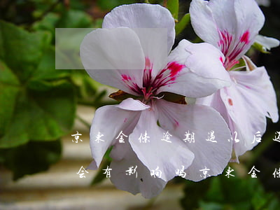 京东金条逾期过以后还能用吗(京东金条逾期会有影响吗?京东金条逾期攻略!)