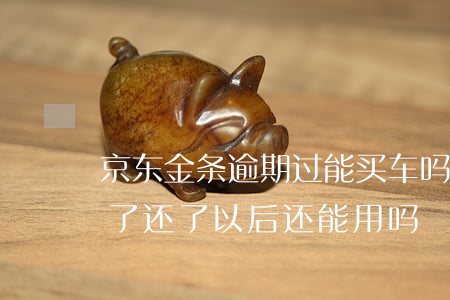 京东金条逾期过能买车吗(京东金条逾期几天了,还了以后还能用吗?)