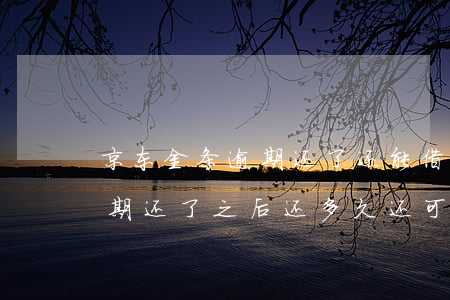 京东金条逾期还了还能借出来吗(京东金条逾期还了之后还多久还可以借钱)