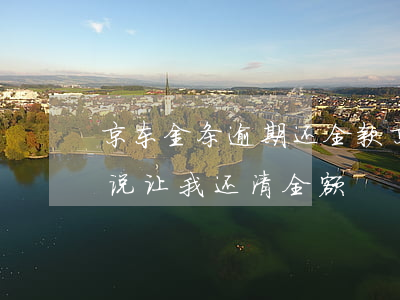 京东金条逾期还全款 京东金条逾期四天还清说让我还清全额