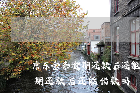京东金条逾期还款后还能借款吗 京东金条逾期还款后还能借款吗