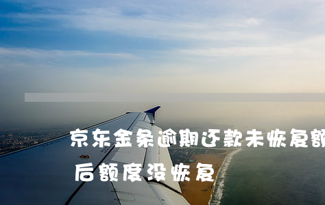 京东金条逾期还款未恢复额度 京东金条还款后额度没恢复