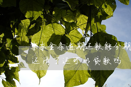 京东金条逾期还款能分期吗(京东金条有逾期,还清了还可以贷款吗)
