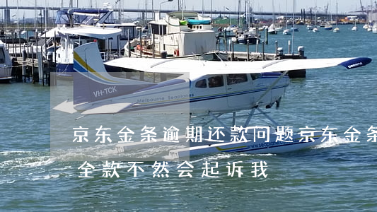 京东金条逾期还款问题(京东金条逾期要求还全款 不然会起诉我)