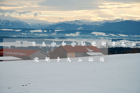 京东金条金融逾期多久上征信(京东金条金融逾期多久上征信)