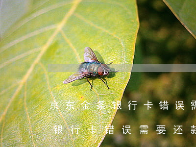京东金条银行卡错误需要还款么-京东金条银行卡错误需要还款么吗