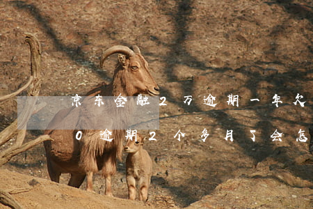 京东金融2万逾期一年 欠京东金融50000逾期2个多月了会怎么样