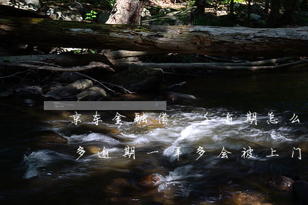 京东金融借一千逾期怎么办(京东金融欠两千多逾期一年多会被上门吗)