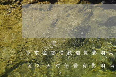 京东金融借款逾期影响大吗(京东金融借款逾期3天对信誉有影响吗)