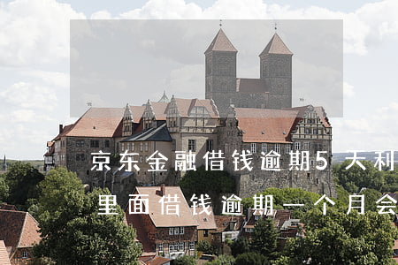 京东金融借钱逾期5天利息多少(在京东金融里面借钱逾期一个月会怎么样)