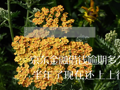 京东金融借钱逾期多久上征信(京东金融逾期半年了现在还上上征信吗)