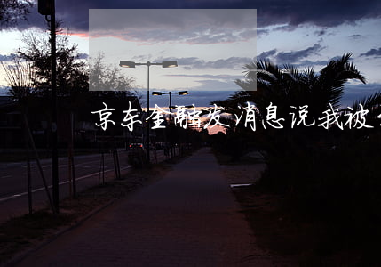 京东金融发消息说我被开庭了（京东逾期开庭）