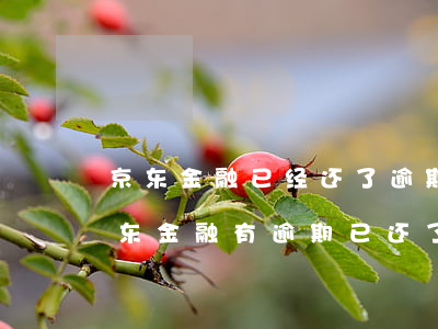 京东金融已经还了逾期了他说要全部还清（京东金融有逾期已还了一部分）