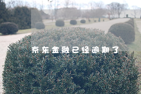 京东金融已经逾期了