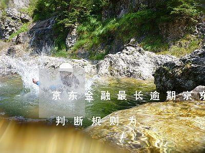 京东金融最长逾期(京东金融最长逾期时间的判断规则为)