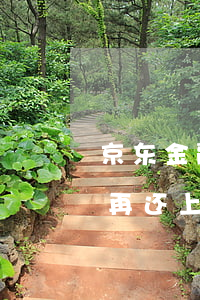 京东金融有逾期能借出来吗 京东金融逾期后再还上是不是以后都不可以借款了