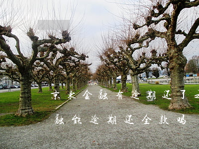 京东金融有逾期还了之后还可以借吗?（京东金融能逾期还全款吗）