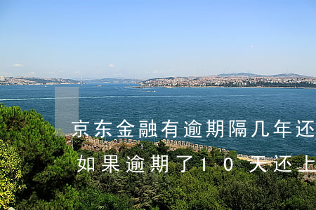 京东金融有逾期隔几年还能借吗-京东金融如果逾期了10天,还上后还借的出来吗