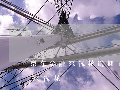 京东金融来钱花逾期了怎么办(京东马上金融来钱花)