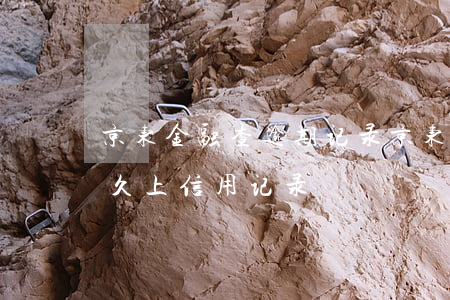 京东金融查逾期记录(京东金融还款逾期后多久上信用记录)