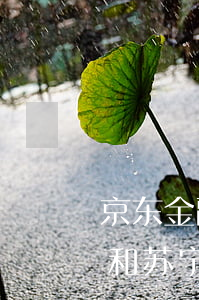 京东金融网贷逾期了暂时还不上怎么办（京东和苏宁网贷逾期）