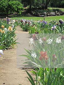 京东金融花呗全逾期了(京东金融可以还花呗吗)