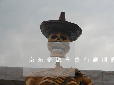 京东金融车贷有逾期吗(京东金融影响车贷吗)
