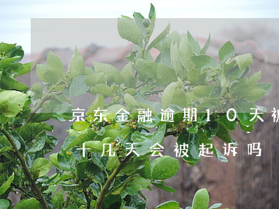 京东金融逾期10天被威胁(京东金融逾期了十几天会被起诉吗?)