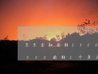 京东金融逾期2300元-欠京东金融50000逾期2个多月了会怎么样