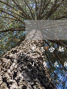 京东金融逾期一个星期发告知函-京东逾期15天给我发短信下发相关函件