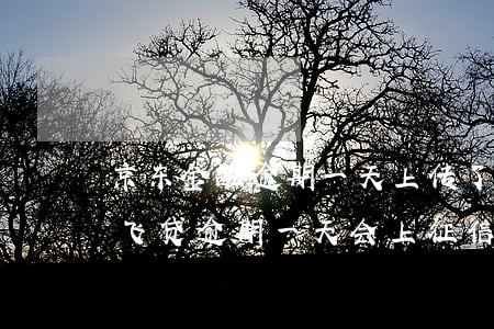 京东金融逾期一天上传了征信,怎么处理（京东飞贷逾期一天会上征信）