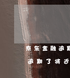 京东金融逾期一年多了怎么办(京东金融几百逾期了将近快2个月了)