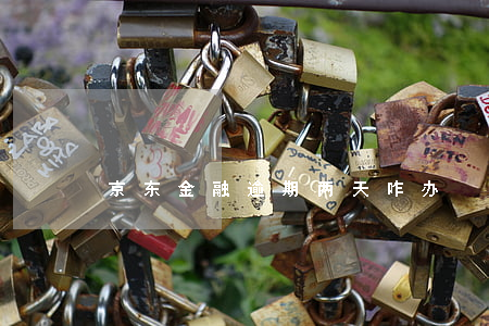 京东金融逾期两天咋办