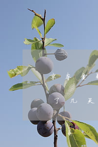 京东金融逾期了几天就不用了 京东金融逾期了几天就不用了