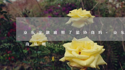 京东金融逾期了能协商吗-京东金融怎么协商延期
