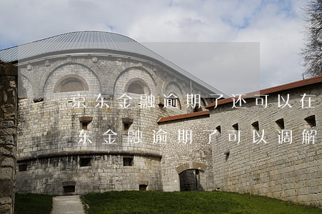 京东金融逾期了还可以在京东上吗,东西吗（京东金融逾期了可以调解吗）