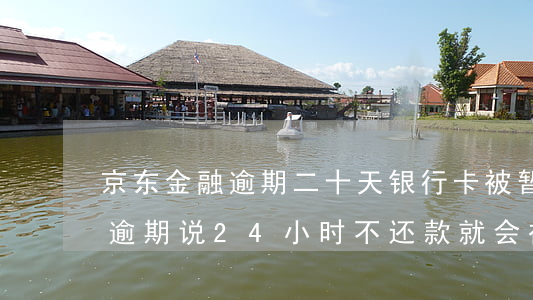京东金融逾期二十天银行卡被暂停(京东金融逾期说24小时不还款就会被起诉)