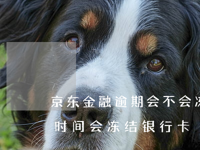 京东金融逾期会不会冻结 京东金融逾期多长时间会冻结银行卡