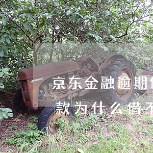 京东金融逾期借款利息(京东金融逾期一天还款,为什么借不了)