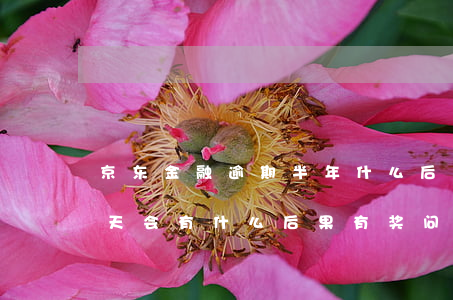 京东金融逾期半年什么后果(京东金融逾期2天会有什么后果?,有奖问答)