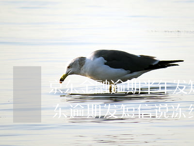 京东金融逾期半年发短信说要向法院起诉（京东逾期发短信说冻结财产）