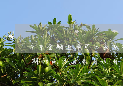 京东金融逾期可以去京东上班吗(京东金融逾期打电话过来有没有事?)