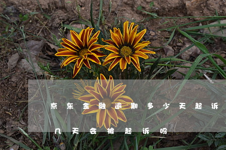 京东金融逾期多少天起诉(京东金融逾期了十几天会被起诉吗?)