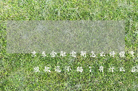 京东金融逾期怎么停催(京东金融借款逾期被催款还不起了有什么后果)