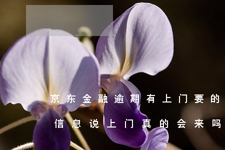 京东金融逾期有上门要的吗(京东金融逾期发信息说上门真的会来吗)