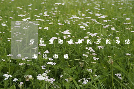 京东金融逾期能不能冻结微信（京东金融逾期冻结微信）