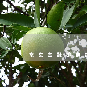 京东金融逾期能恢复-京东金融过期怎么办