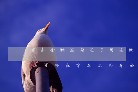 京东金融逾期还了用还款吗(京东金融逾期了还可以在京东上吗,东西吗)
