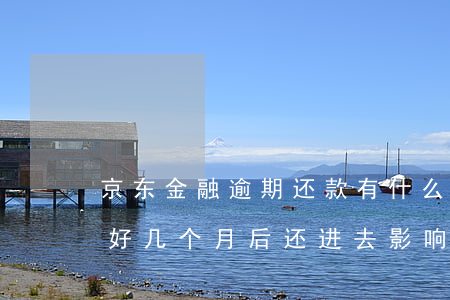 京东金融逾期还款有什么影响(京东金融逾期好几个月后还进去影响大吗)