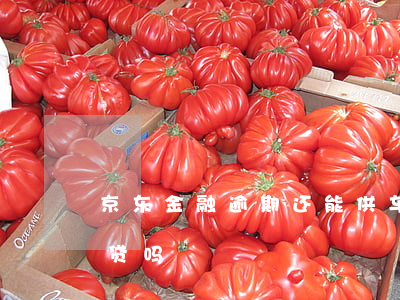 京东金融逾期还能供车吗(京东金融会影响车贷吗)